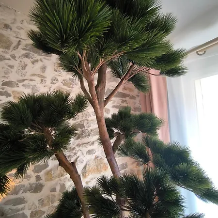 Tropezia- Standing T4 Terrasse Et Parking アパート カシ